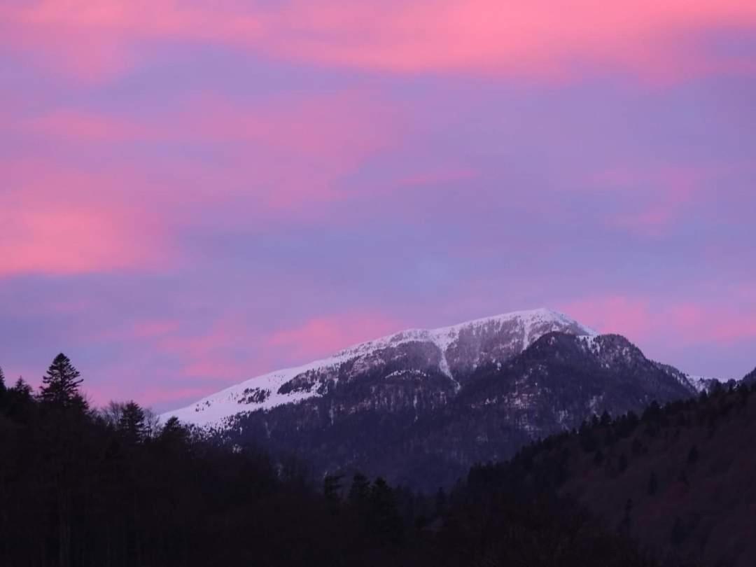 Sinaia Alpineview Residence Exteriér fotografie