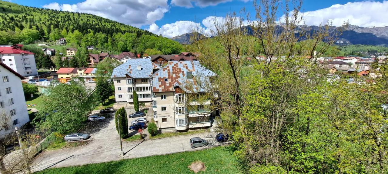Sinaia Alpineview Residence Exteriér fotografie